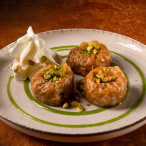 ΦΩΛΙΑ ΦΥΣΤΙΚΙ ΑΙΓΙΝΗΣ